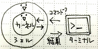 ログインシェルをbashからzshに変更してみた。